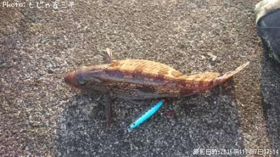 �����ʥ�