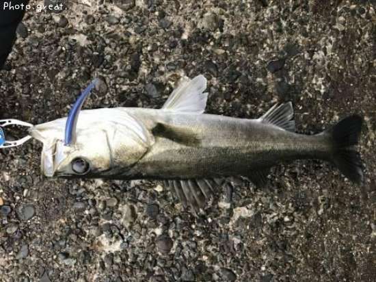 �����Х�