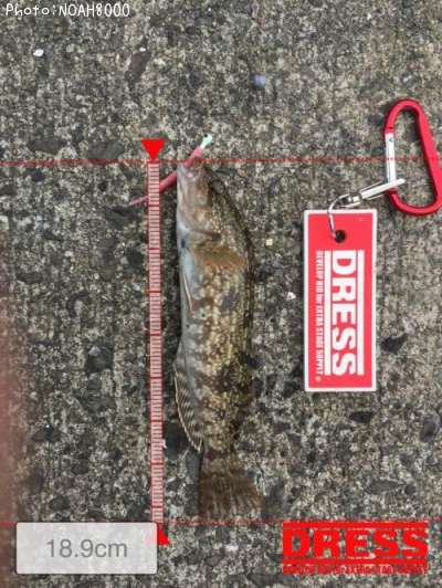 �����ʥ�