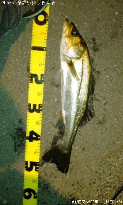 �����Х�