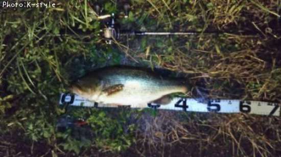 �֥�å��Х�