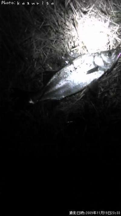 �����Х�