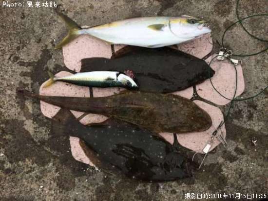 �ޥ������ҥ������ʥ�