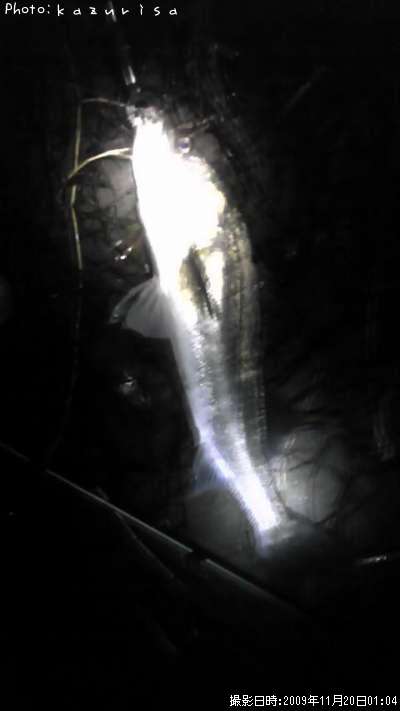 �����Х�