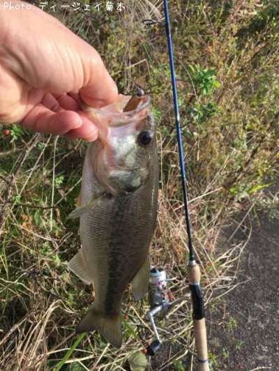 �֥�å��Х�