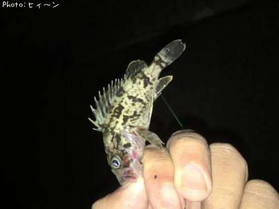 �����Υ���Х�