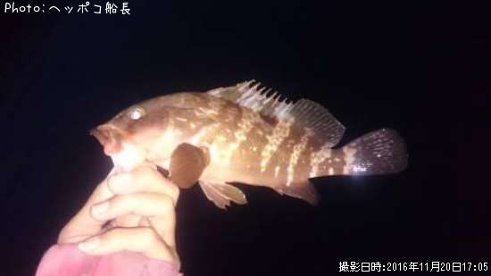 �����ϥ�