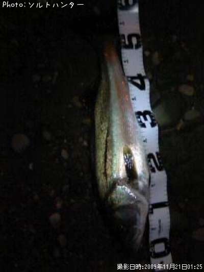 �����Х�