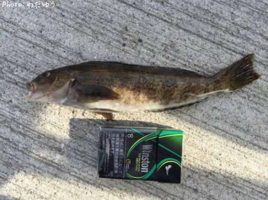 �����ʥ�