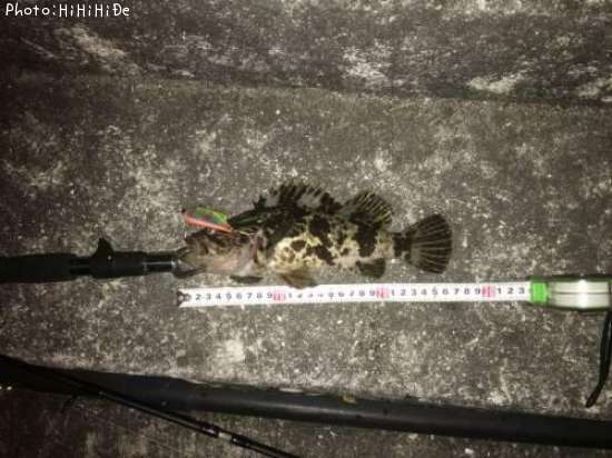 �����Υ���Х�