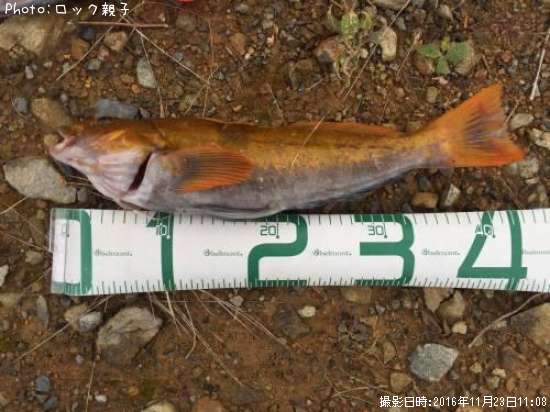 �����ʥ�