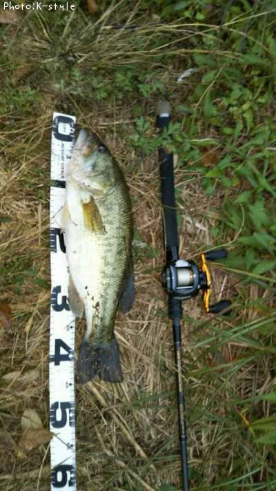 �֥�å��Х�