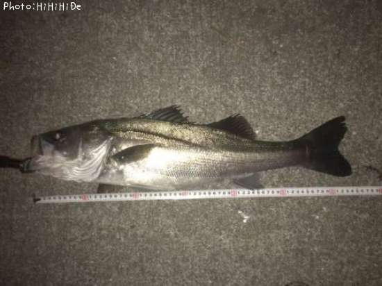 �����Х�