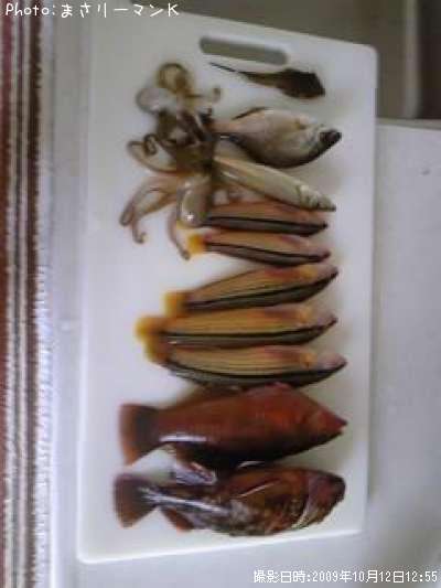 ���������٥顢��������