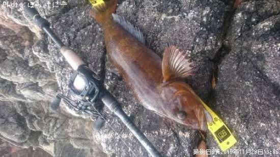 �����ʥ�