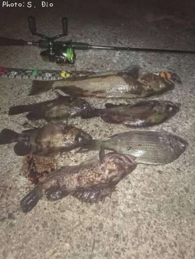 �����ʥᡢ��Х�