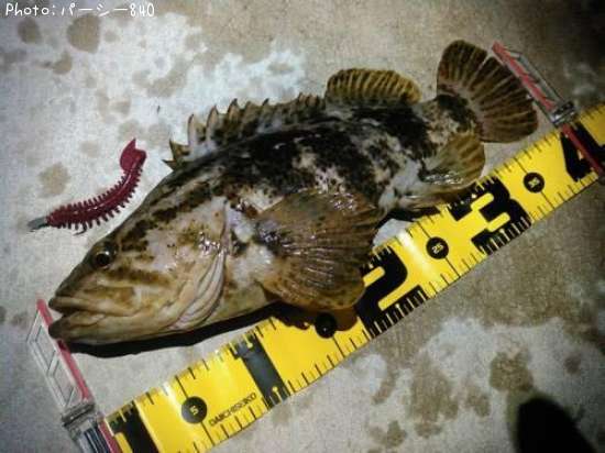 �����Υ���Х�