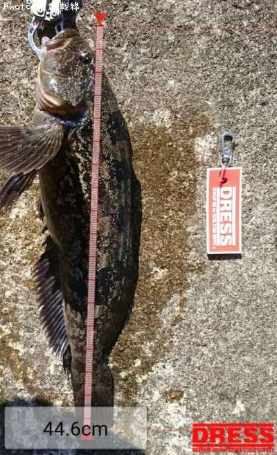 �����ʥ�