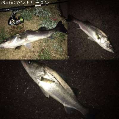 �����Х�