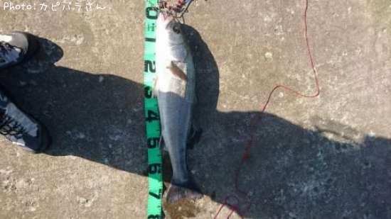 �����Х�