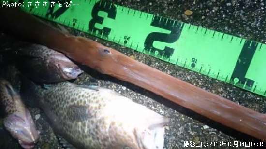 �����䥬����ϥ�