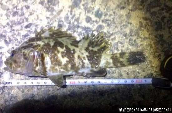 �����Υ���Х�