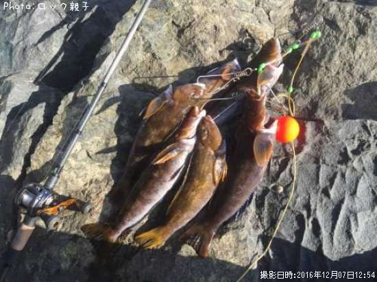 �����ʥ�