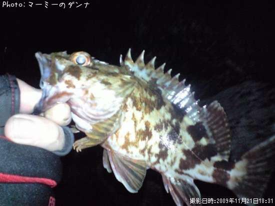 �����Υ���Х�