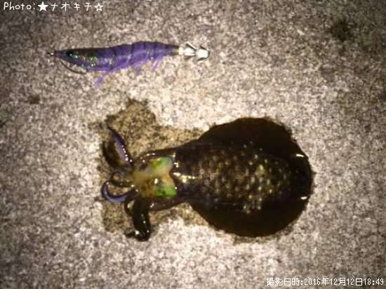 �����ꥤ��