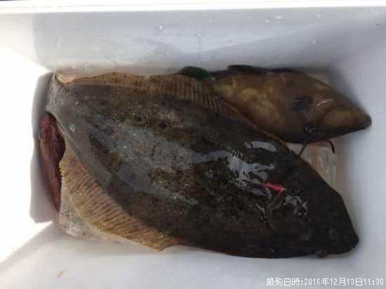 �ҥ������ޥ����������