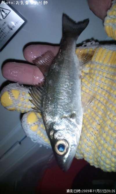 �����Х�