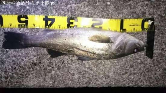 �����Х�