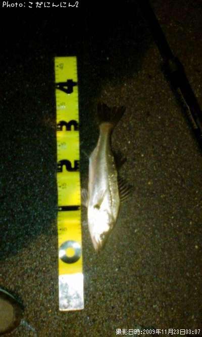 �����Х�