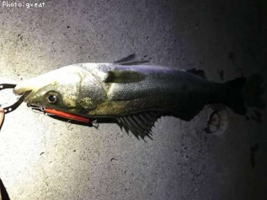 �����Х�