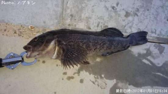 �����ʥ�