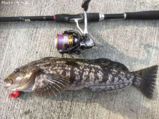 �����ʥ�