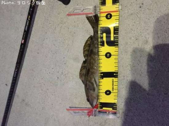 �����ʥ�