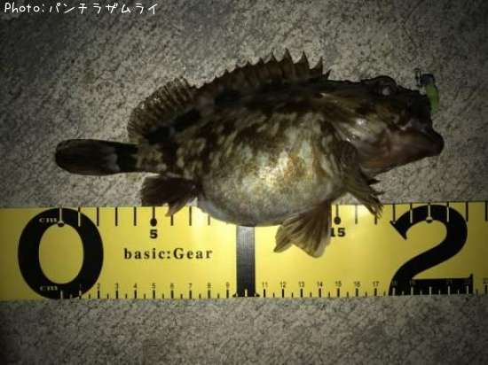 �����Υ���Х�