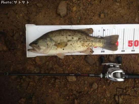 �֥�å��Х�