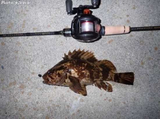 �����Υ���Х�