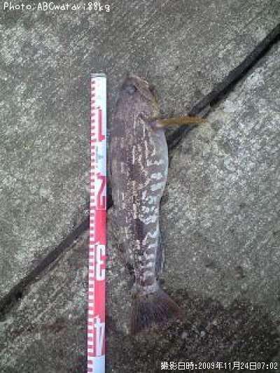 �����ʥ�