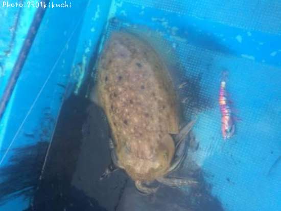 ���֥���