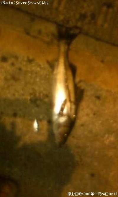 �����Х�