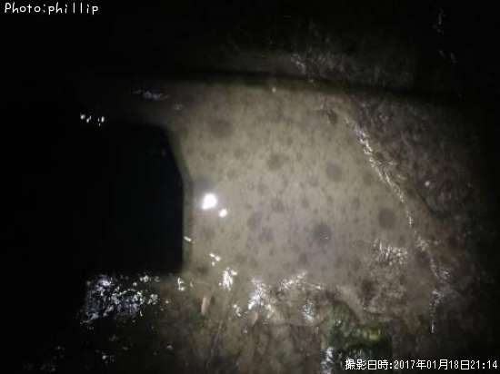 �ĥХ�������