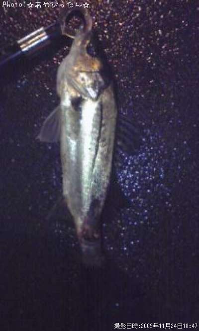 �����Х�