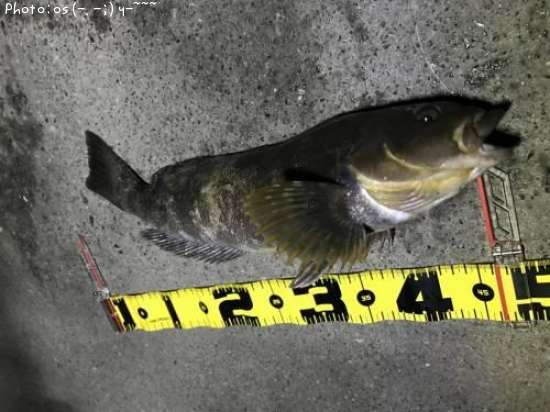 �����ʥ�