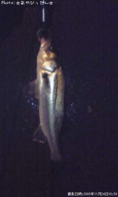 �����Х�