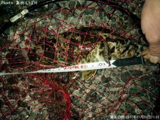 �����Υ���Х�