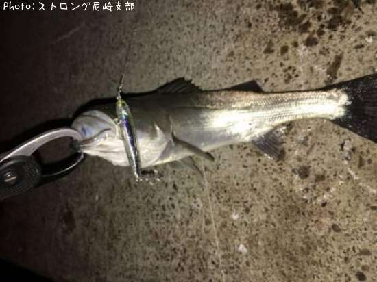 �����Х�