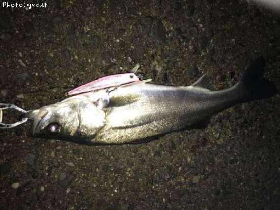 �����Х�